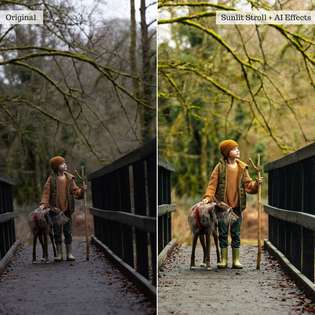 On the Farm 2.0 Lightroom Presets & AI Tools– Desktop & Mobile