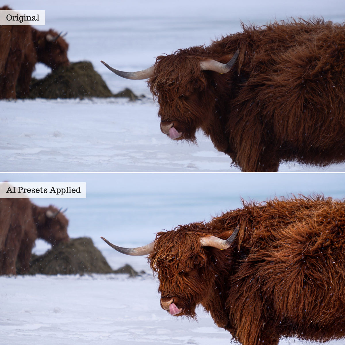 Landscape, Wildlife & Animals AI Adaptive Retouch Toolkit Lightroom Presets – Desktop & Mobile