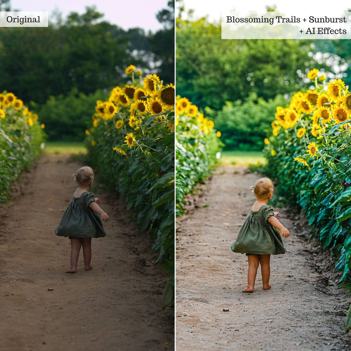 On the Farm 2.0 Lightroom Presets & AI Tools– Desktop & Mobile