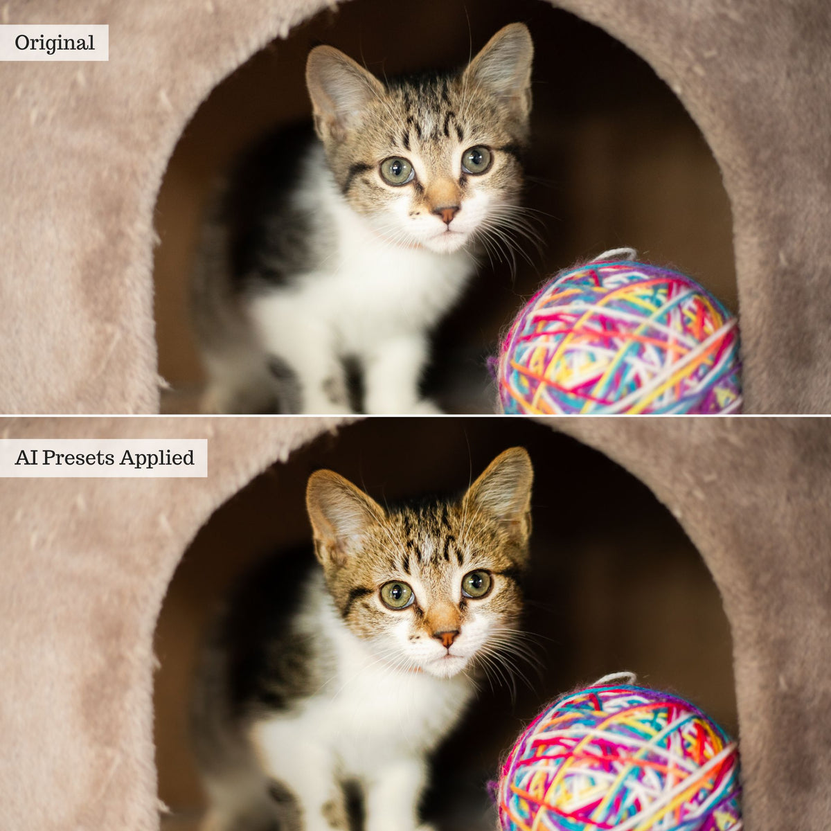 Landscape, Wildlife & Animals AI Adaptive Retouch Toolkit Lightroom Presets – Desktop & Mobile