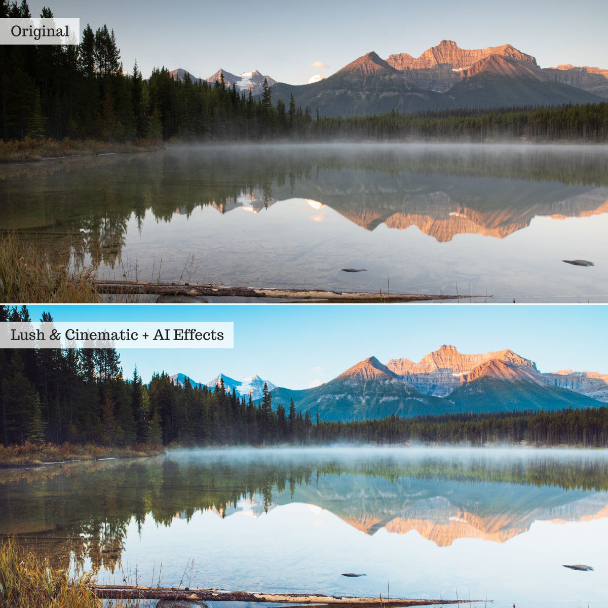 Elements - Landscapes & Wildlife 2.0 Lightroom Presets & AI Powered Tools – Desktop & Mobile