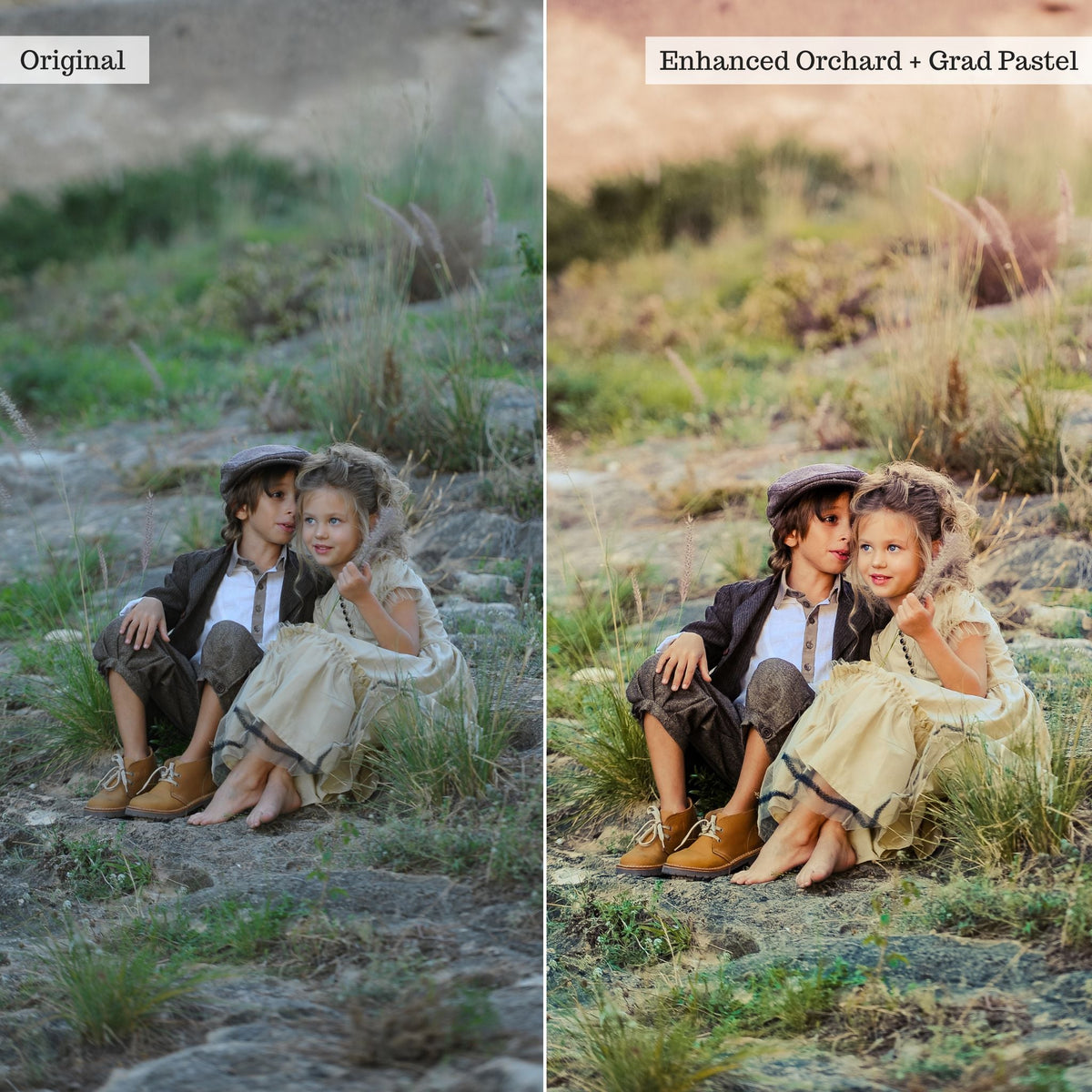On the Farm 2.0 Lightroom Presets & AI Tools– Desktop & Mobile