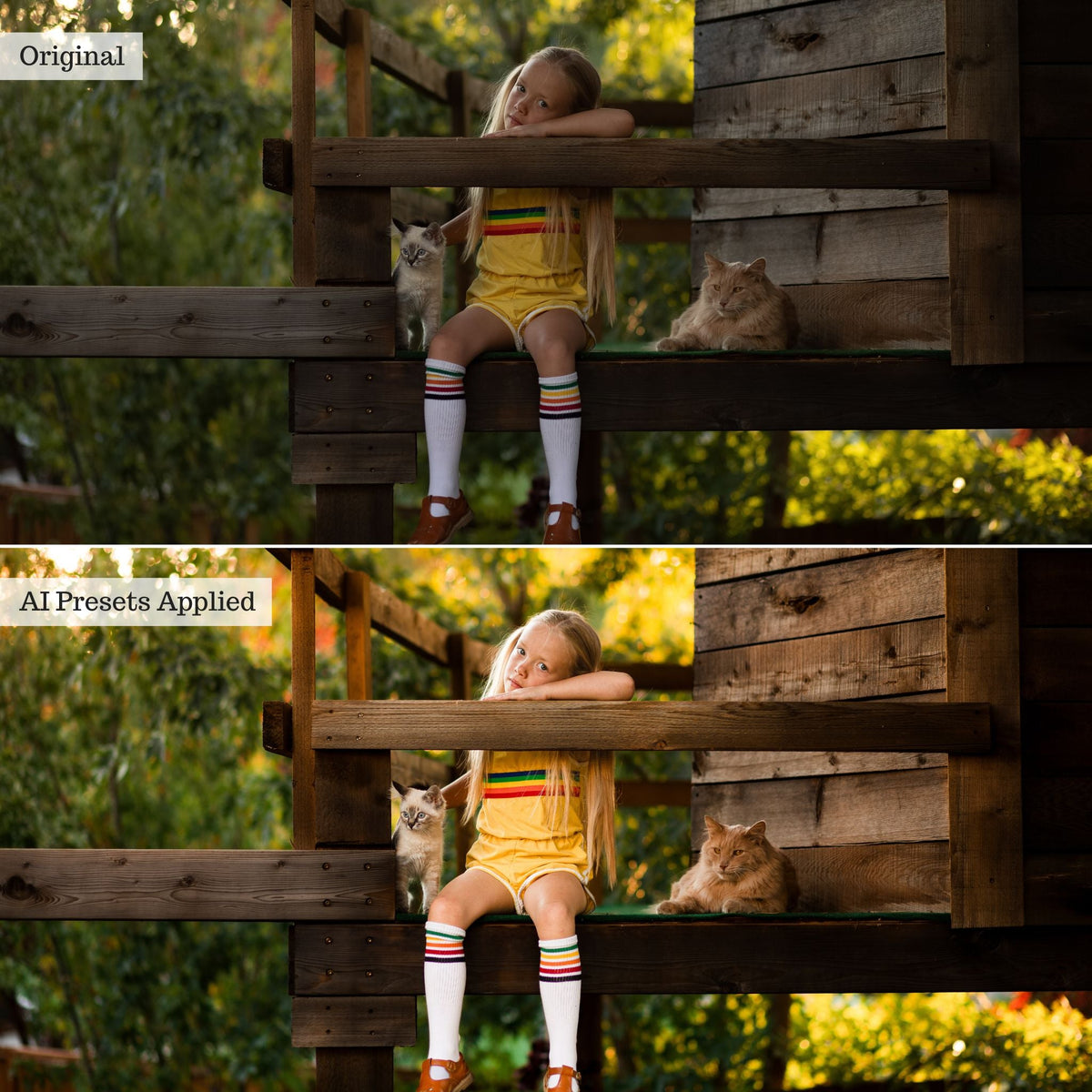 Luxe Portrait AI Adaptive Retouch Toolkit Lightroom Presets – Desktop & Mobile