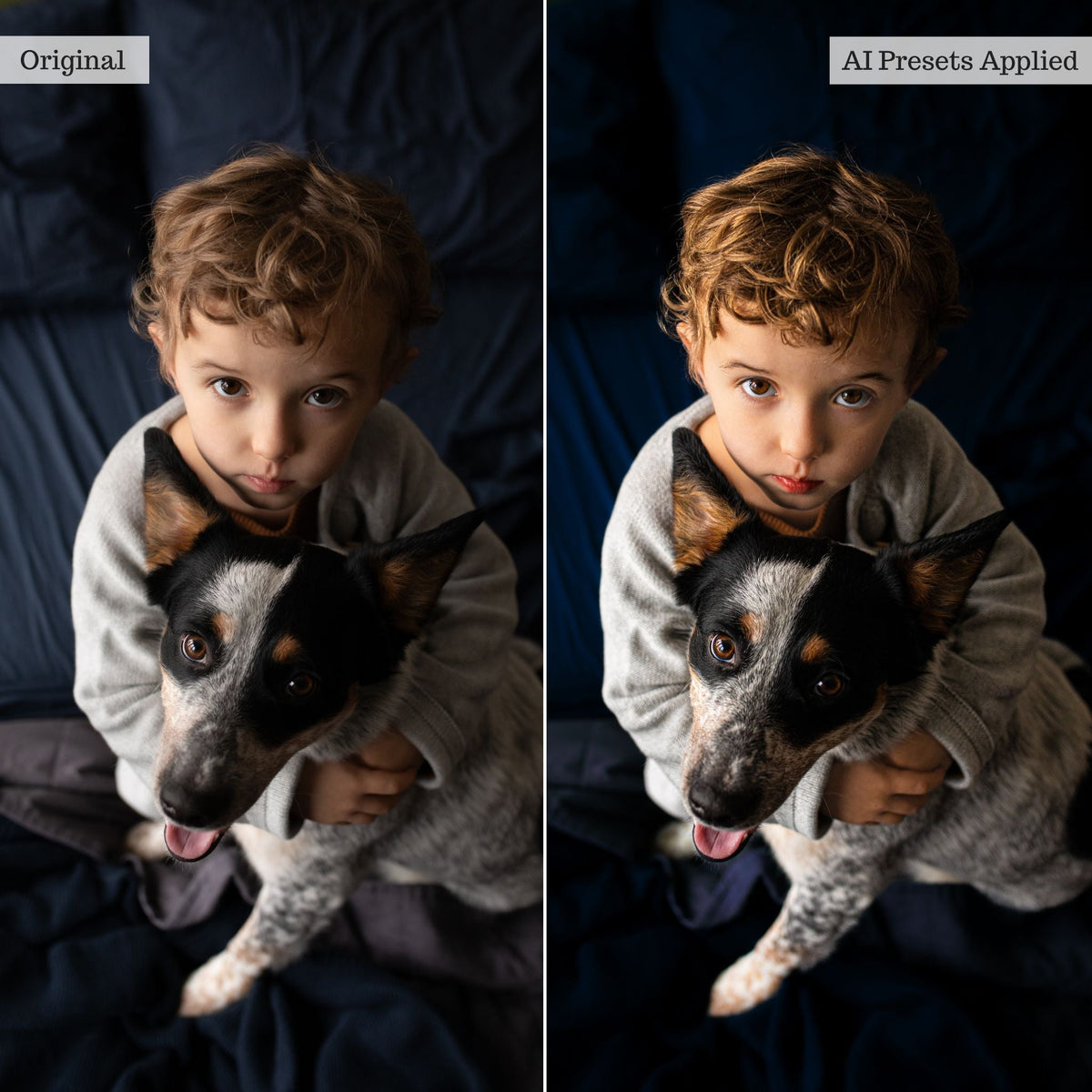 Luxe Portrait AI Adaptive Retouch Toolkit Lightroom Presets – Desktop & Mobile