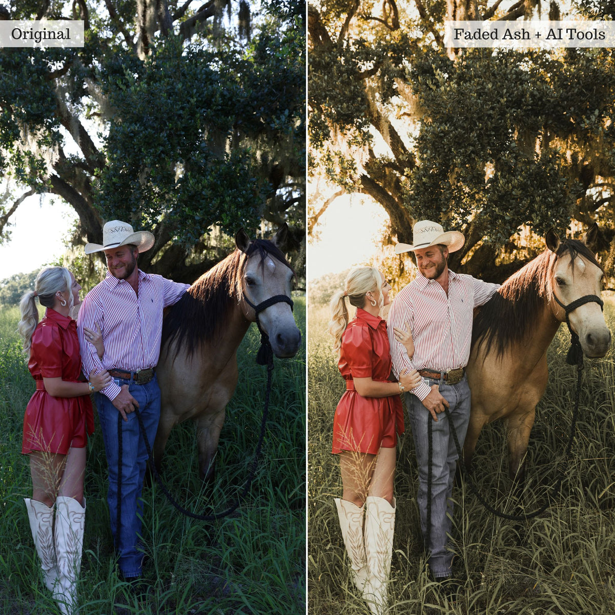 Rustic Farmhouse Lightroom Presets & AI Powered Tools – Desktop & Mobile