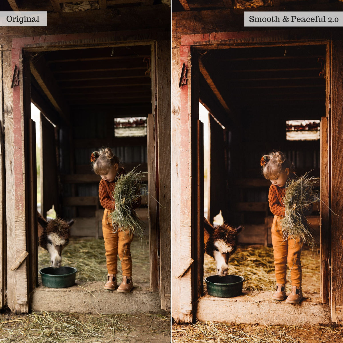 On the Farm 2.0 Lightroom Presets & AI Tools– Desktop & Mobile
