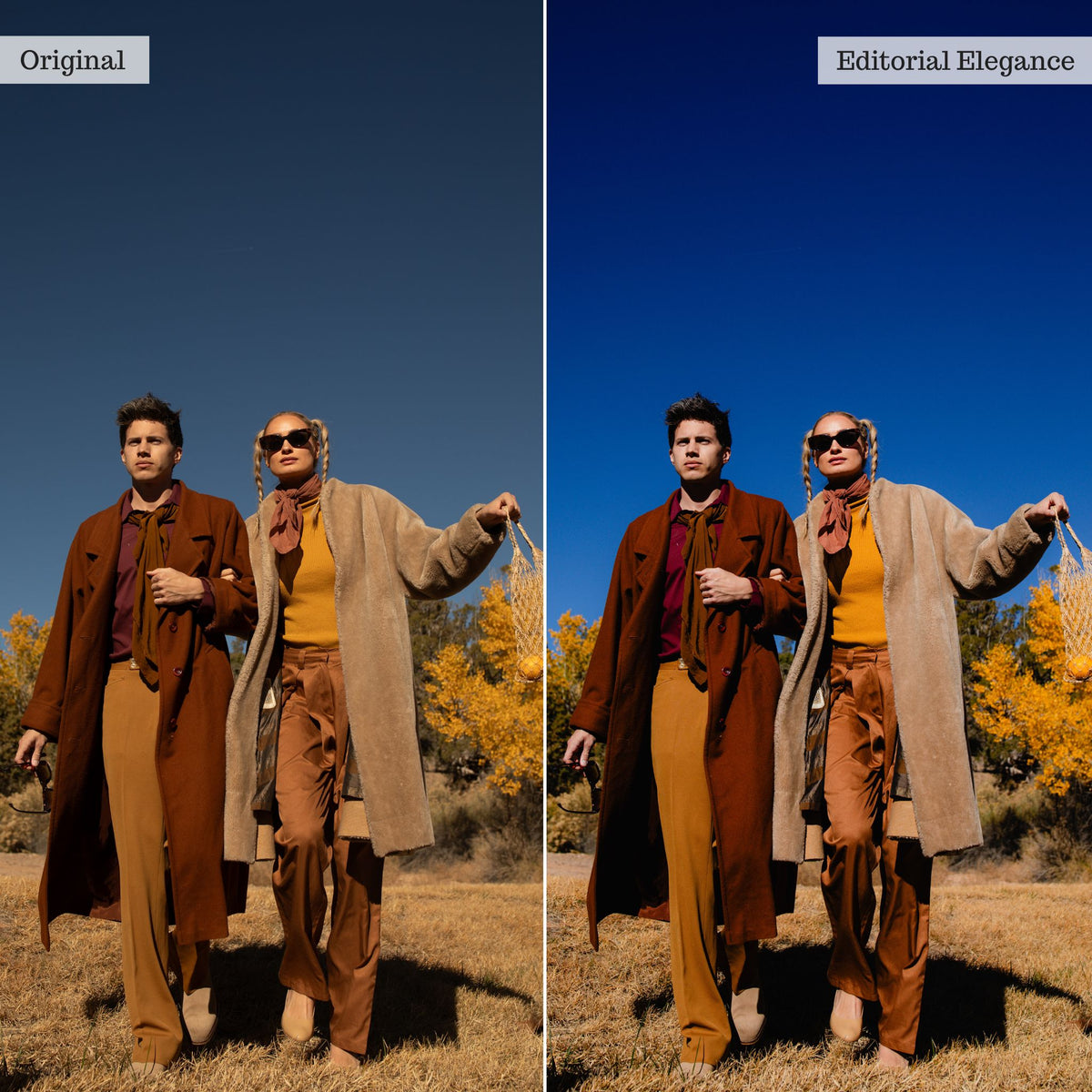 Fashion & Editorial Lightroom Presets & AI Tools