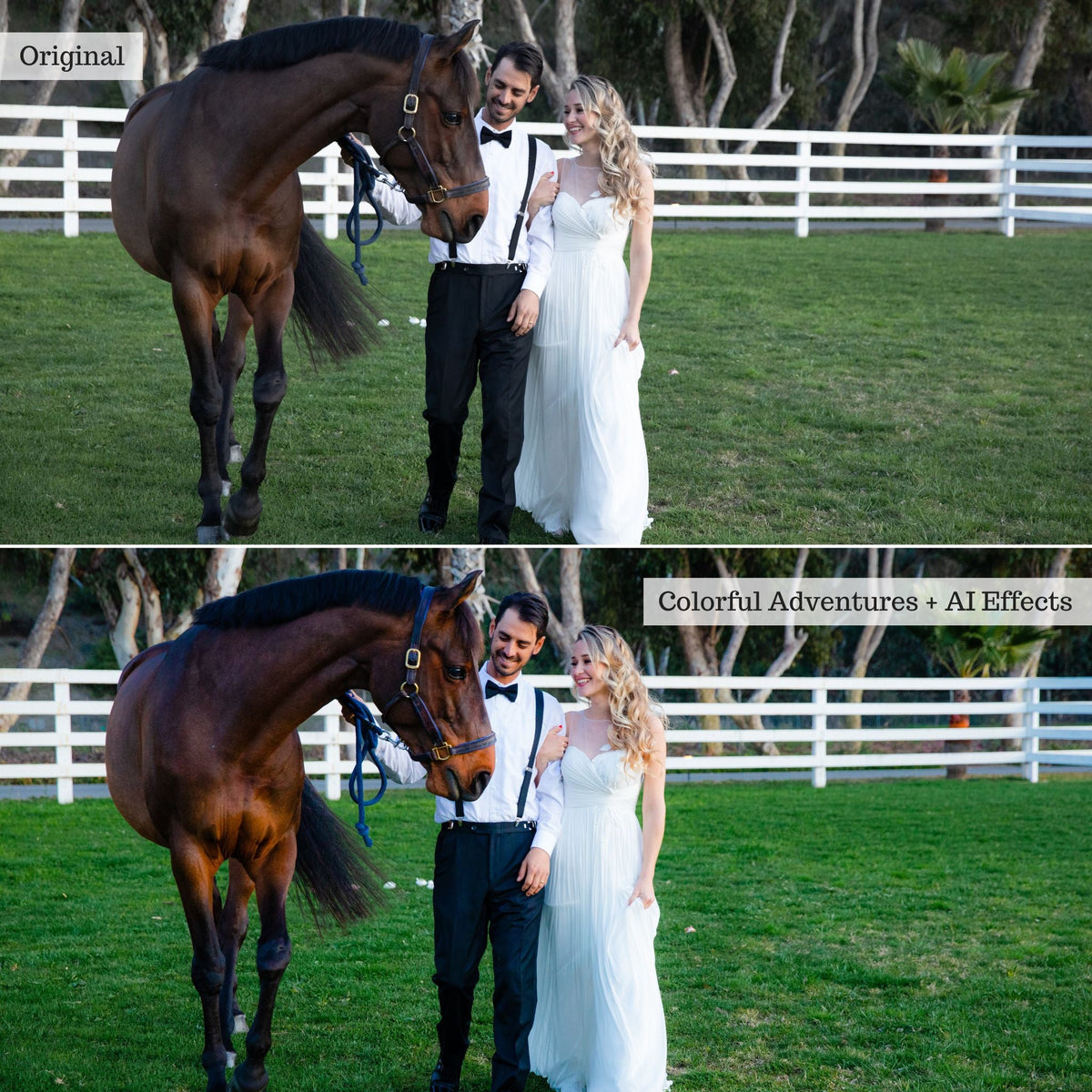 Elements - Landscapes & Wildlife 2.0 Lightroom Presets & AI Powered Tools – Desktop & Mobile