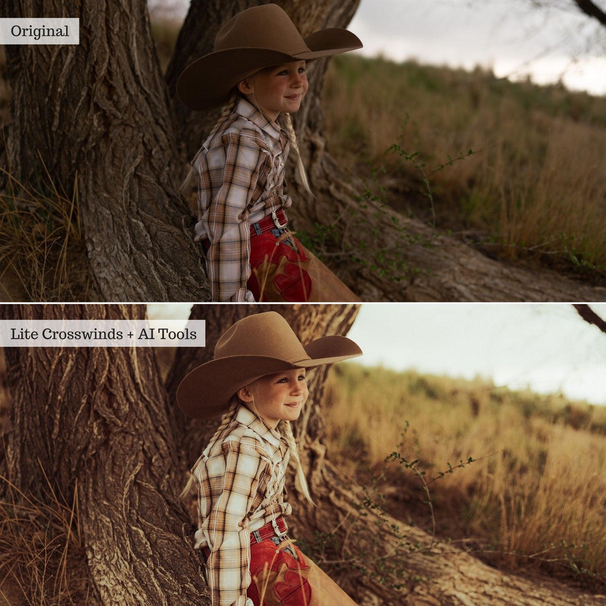 Rustic Farmhouse Lightroom Presets & AI Powered Tools – Desktop & Mobile