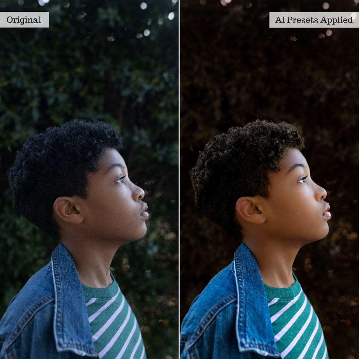 Luxe Quick Fix AI Adaptive Retouch Toolkit Lightroom Presets – Desktop & Mobile