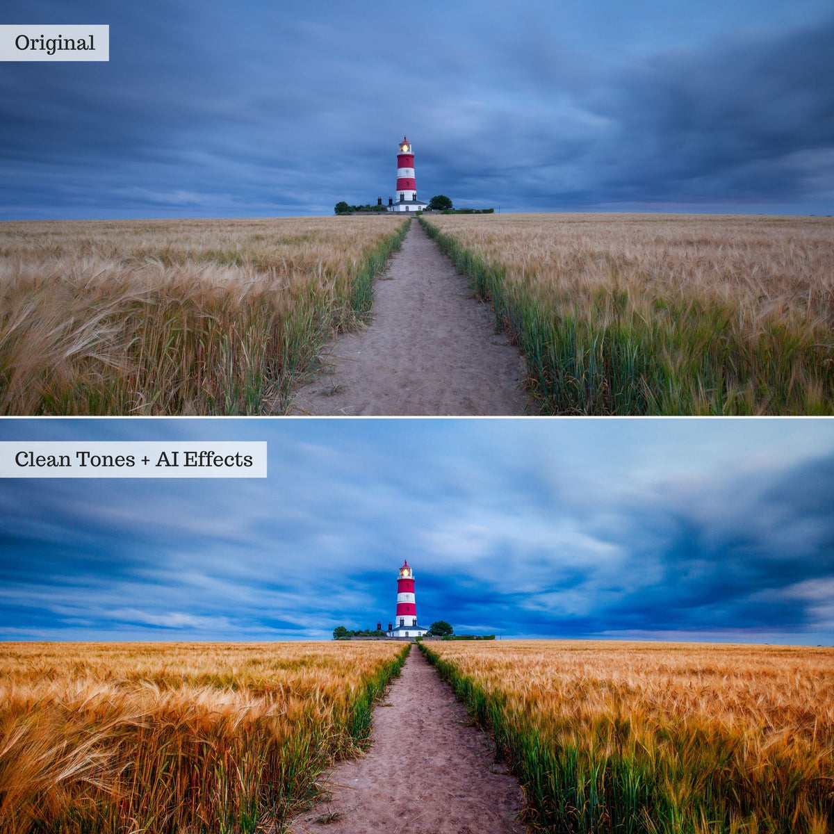 Elements - Landscapes & Wildlife 2.0 Lightroom Presets & AI Powered Tools – Desktop & Mobile