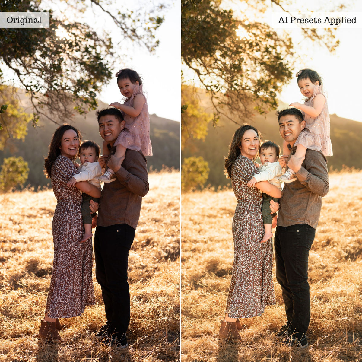 Luxe Portrait AI Adaptive Retouch Toolkit Lightroom Presets – Desktop & Mobile