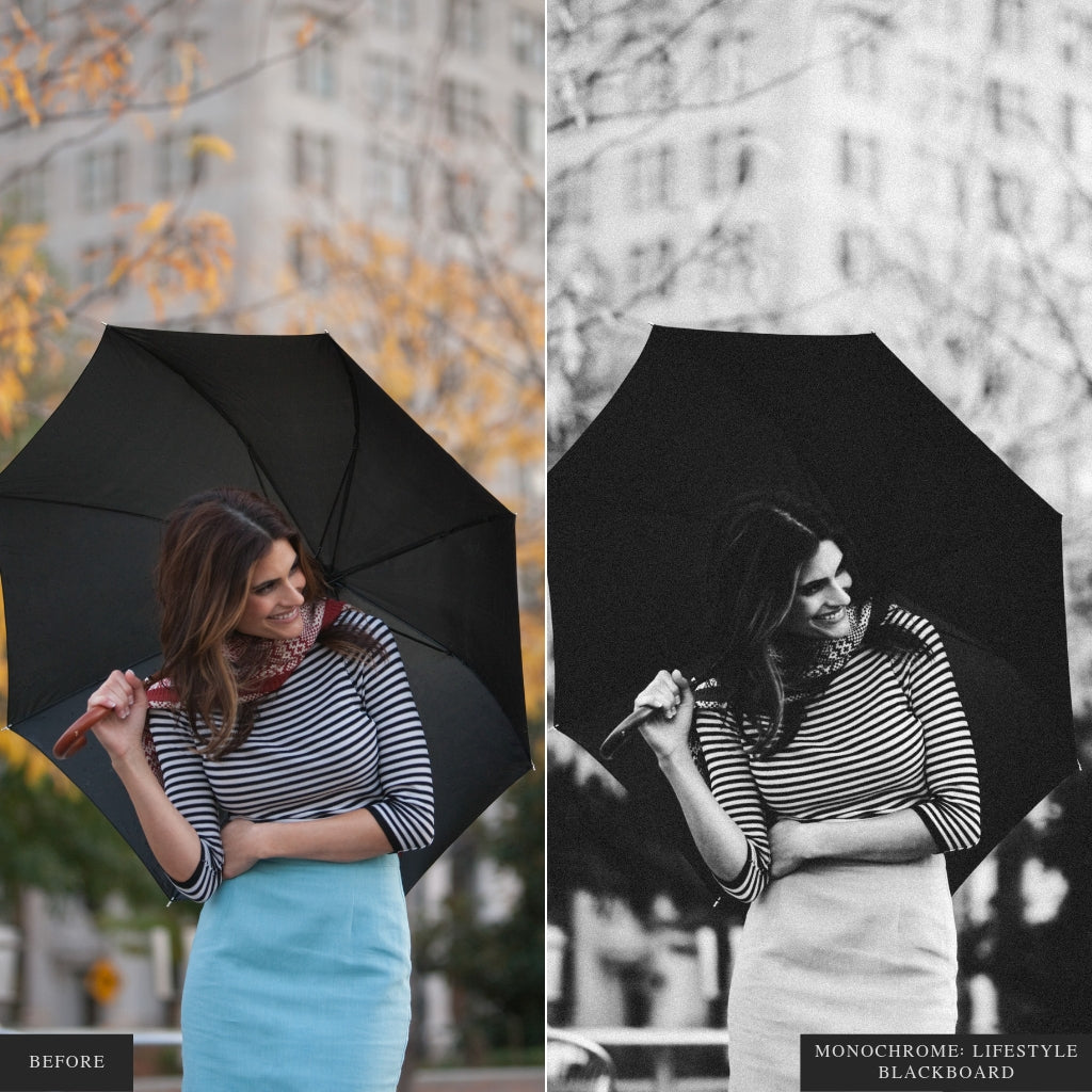 Monochrome Lightroom Presets for Mobile & Desktop
