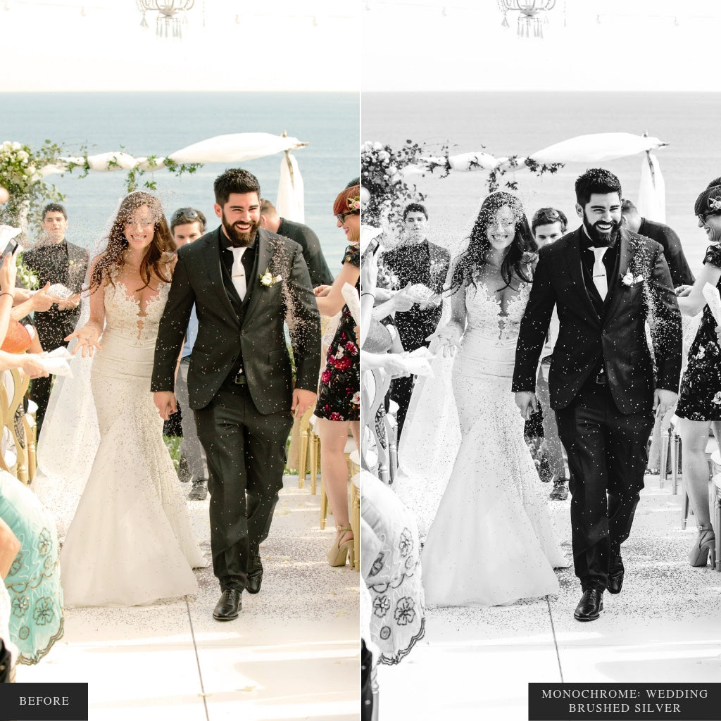 Monochrome Lightroom Presets for Mobile & Desktop