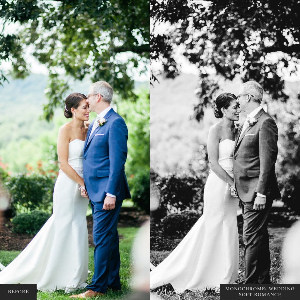 Monochrome Lightroom Presets for Mobile & Desktop