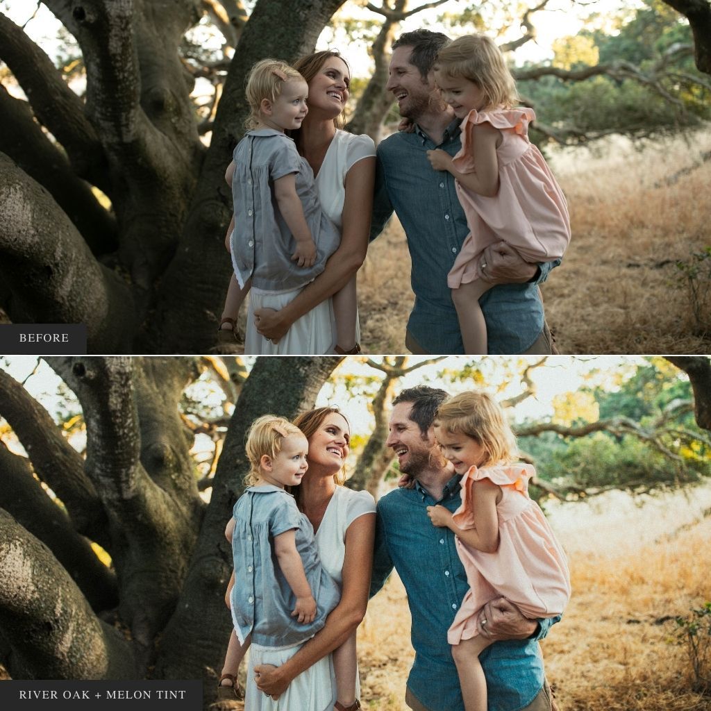 DigiFilm | Novella Lightroom Presets for Mobile & Desktop