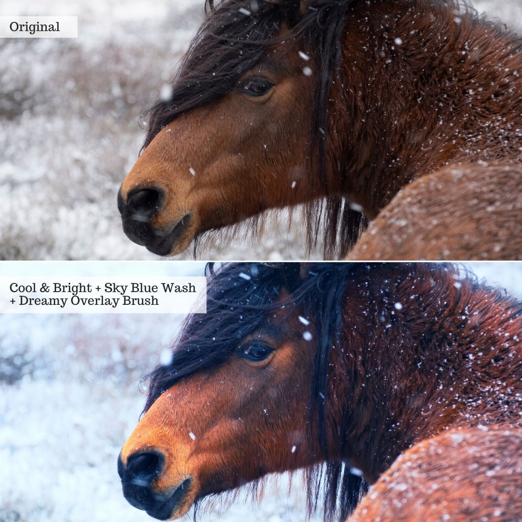 Everything Actions Bundle for Photoshop or Elements