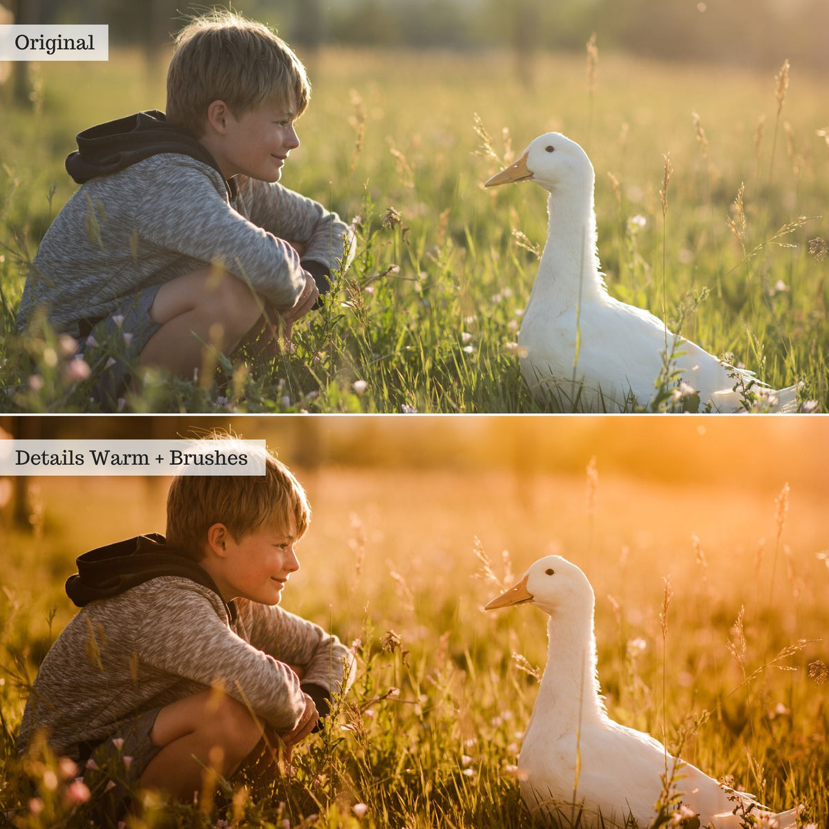 Luxe Golden Hour Lightroom Presets – Desktop & Mobile