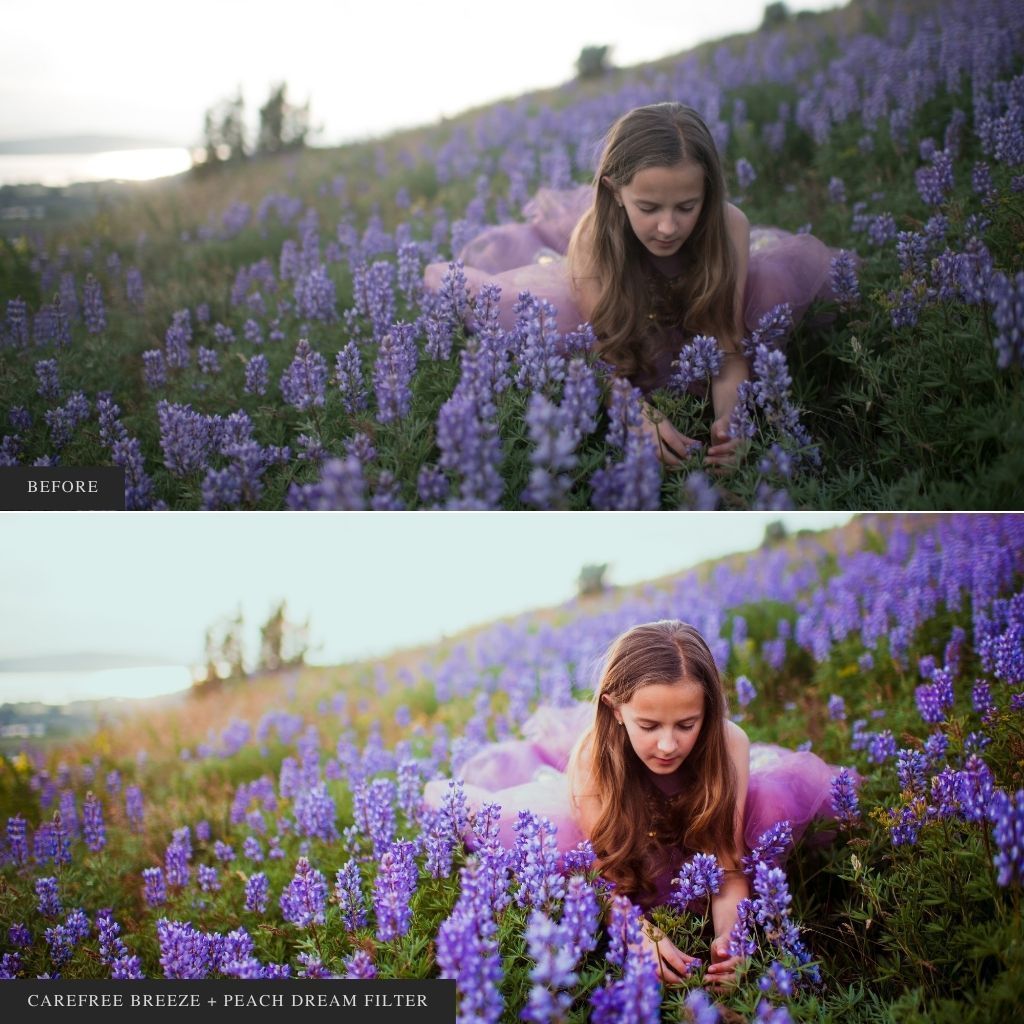 ColorMade Lightroom Preset Bundle (19 collections)