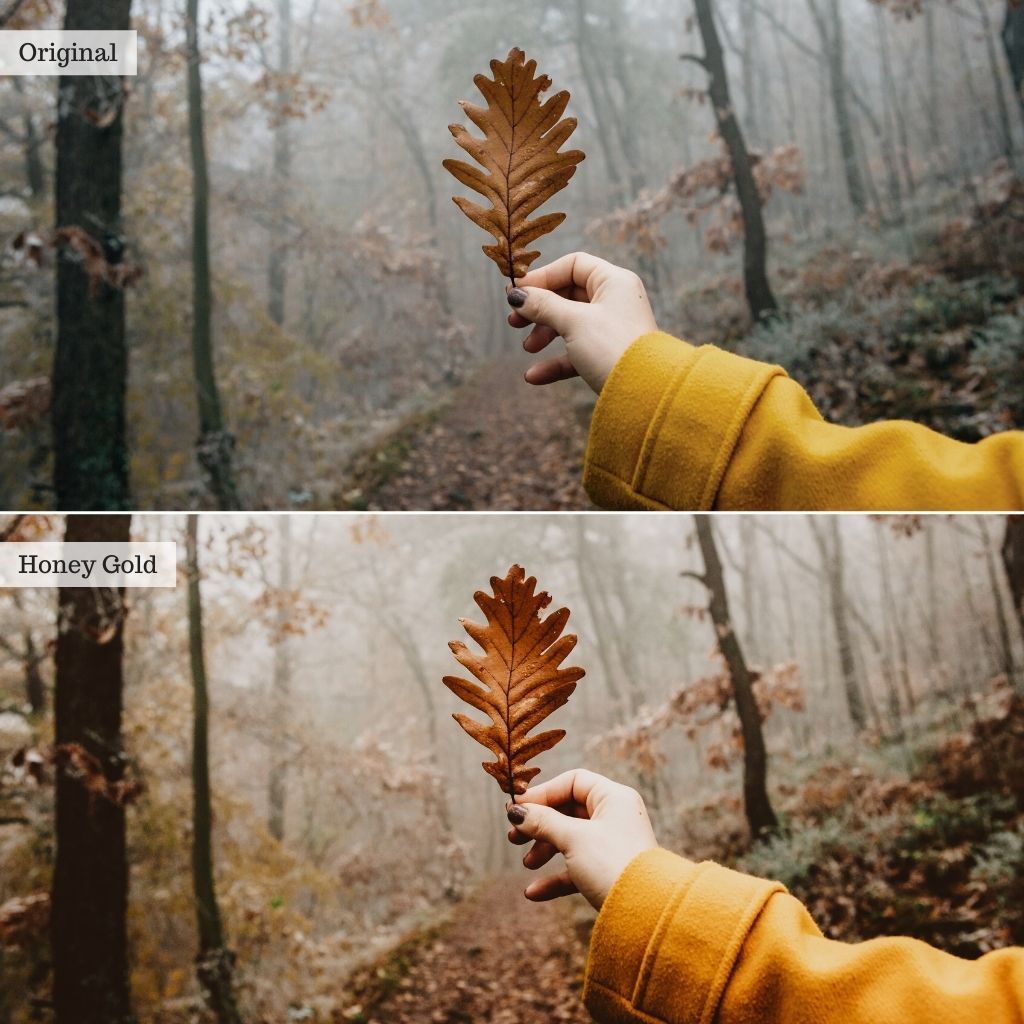 Honey & Gold Instagram Presets for Lightroom Mobile & Desktop