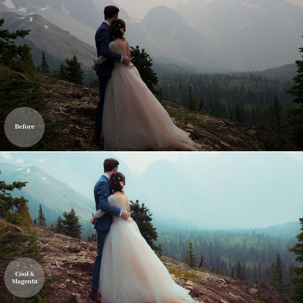 Portraits and Weddings Preset Bundle (19 collections) for Lightroom & Photoshop