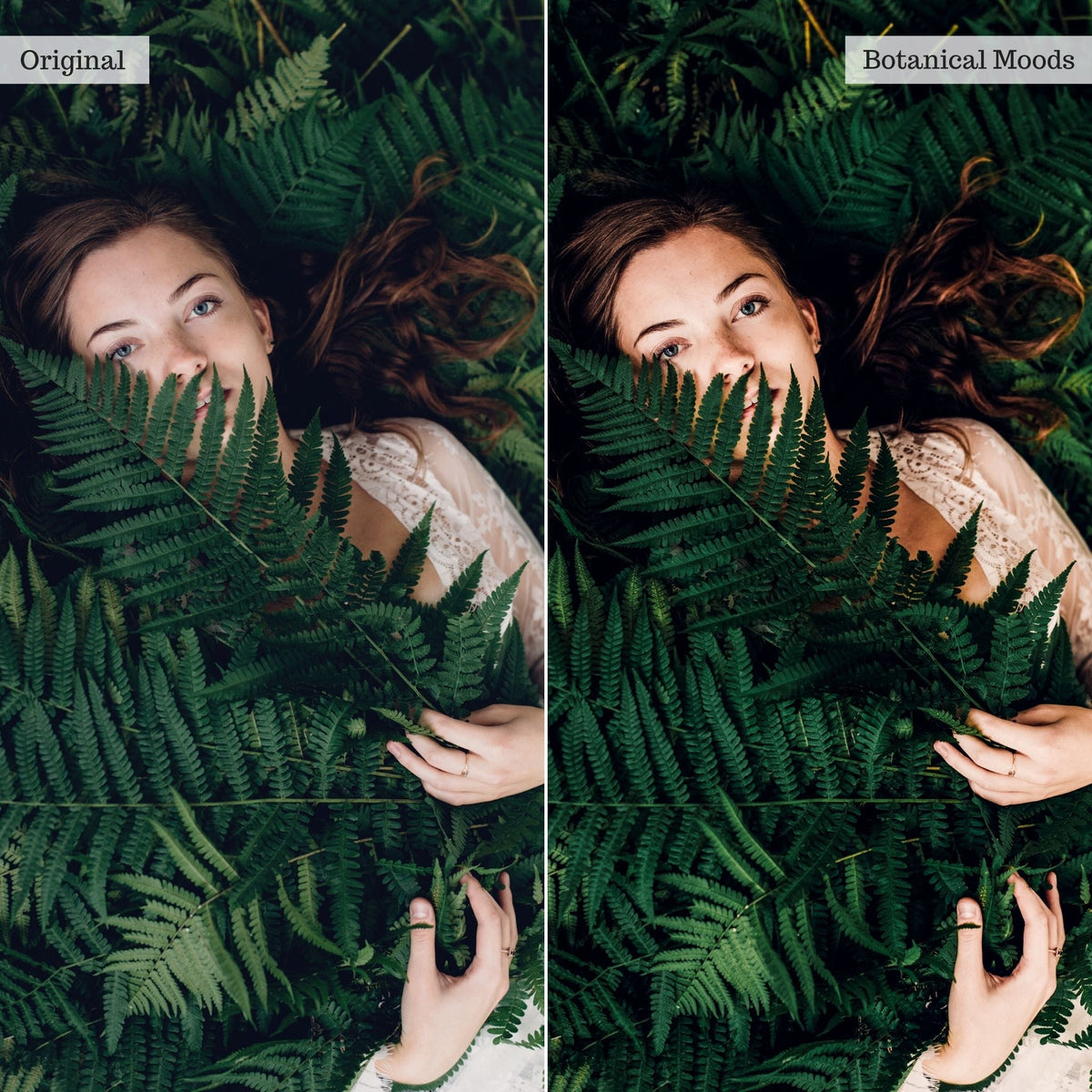 Botanical Moods Instagram Presets for Lightroom Mobile & Desktop