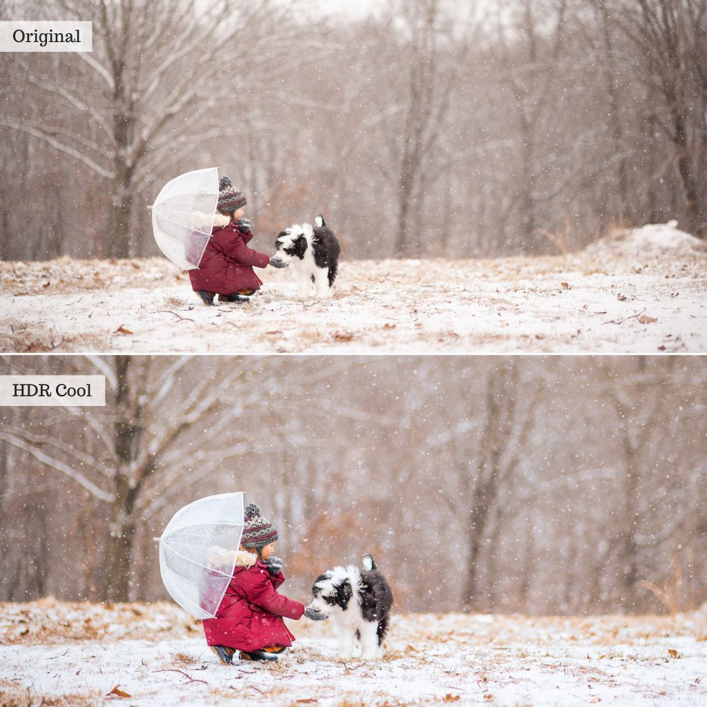 Luxe Video Essentials for LR CC – Desktop & Mobile