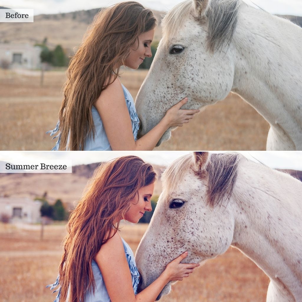 Luxe Essentials Photopea Actions & Editing Tools