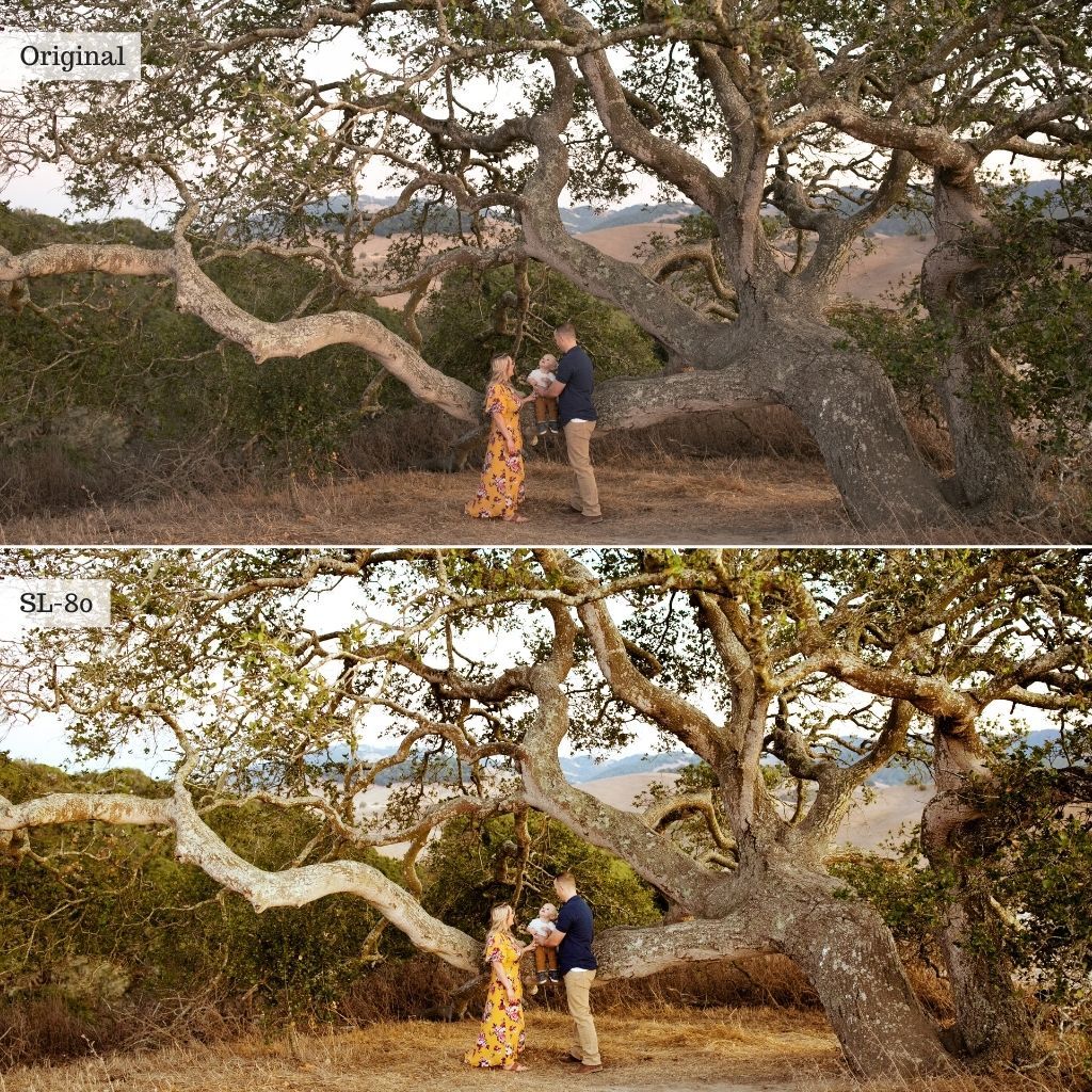 Luxe LUTs Bundle (8 Collections) – Desktop & Mobile