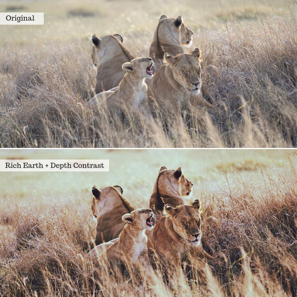 Horizons Landscapes Photoshop Actions