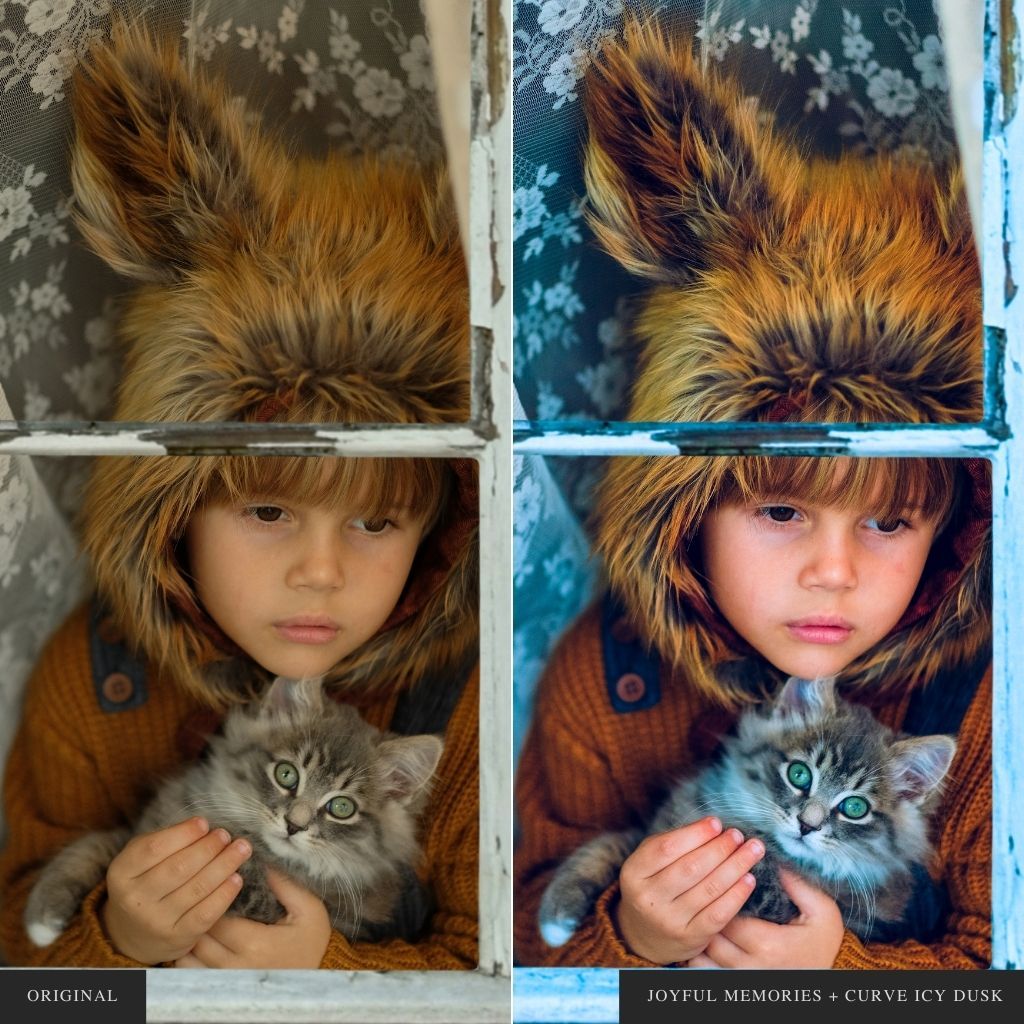 ColorMade Lightroom Preset Bundle (19 collections)