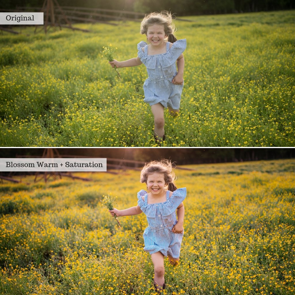 2025 Everything, Entire Store Lightroom Preset Bundle (108 Collections!)