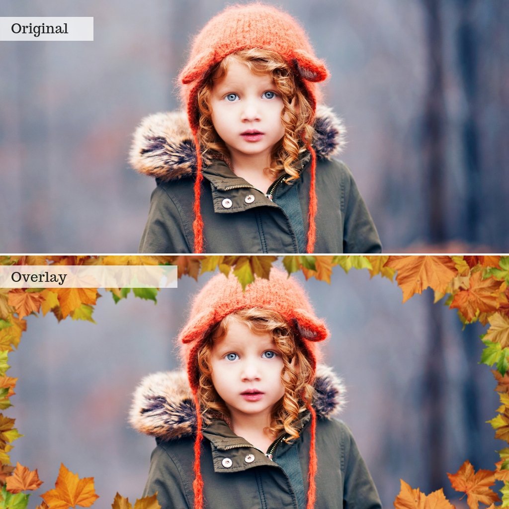 Leaf Overlays – Photoshop & More