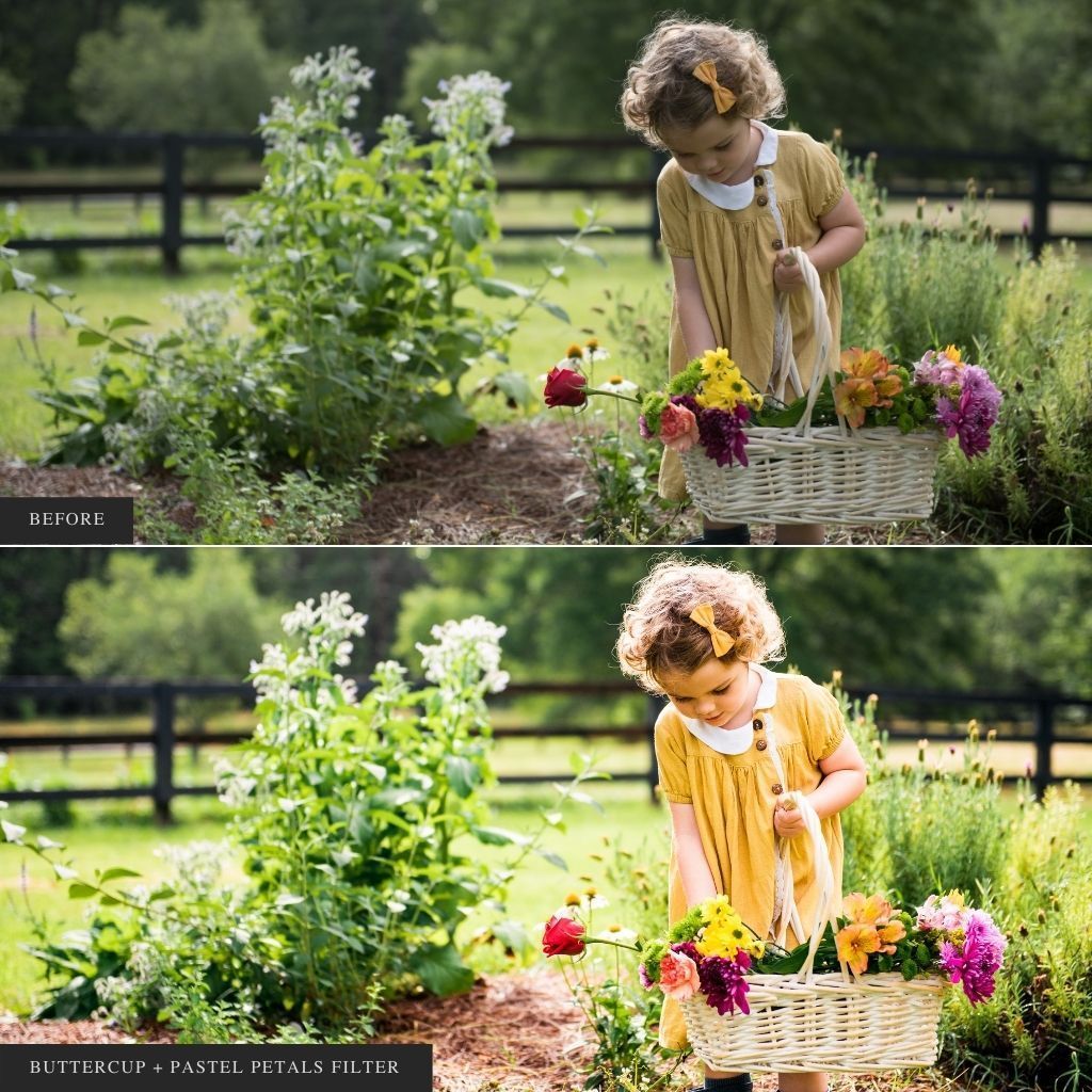 ColorMade Lightroom Preset Bundle (19 collections)