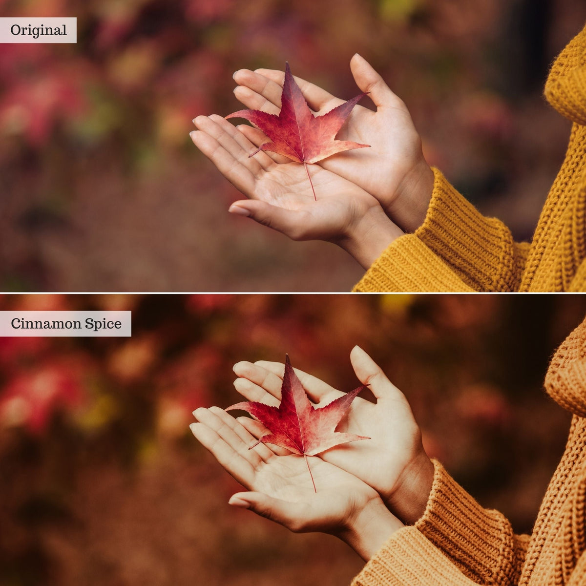 Cinnamon Spice Instagram Presets for Lightroom Mobile & Desktop
