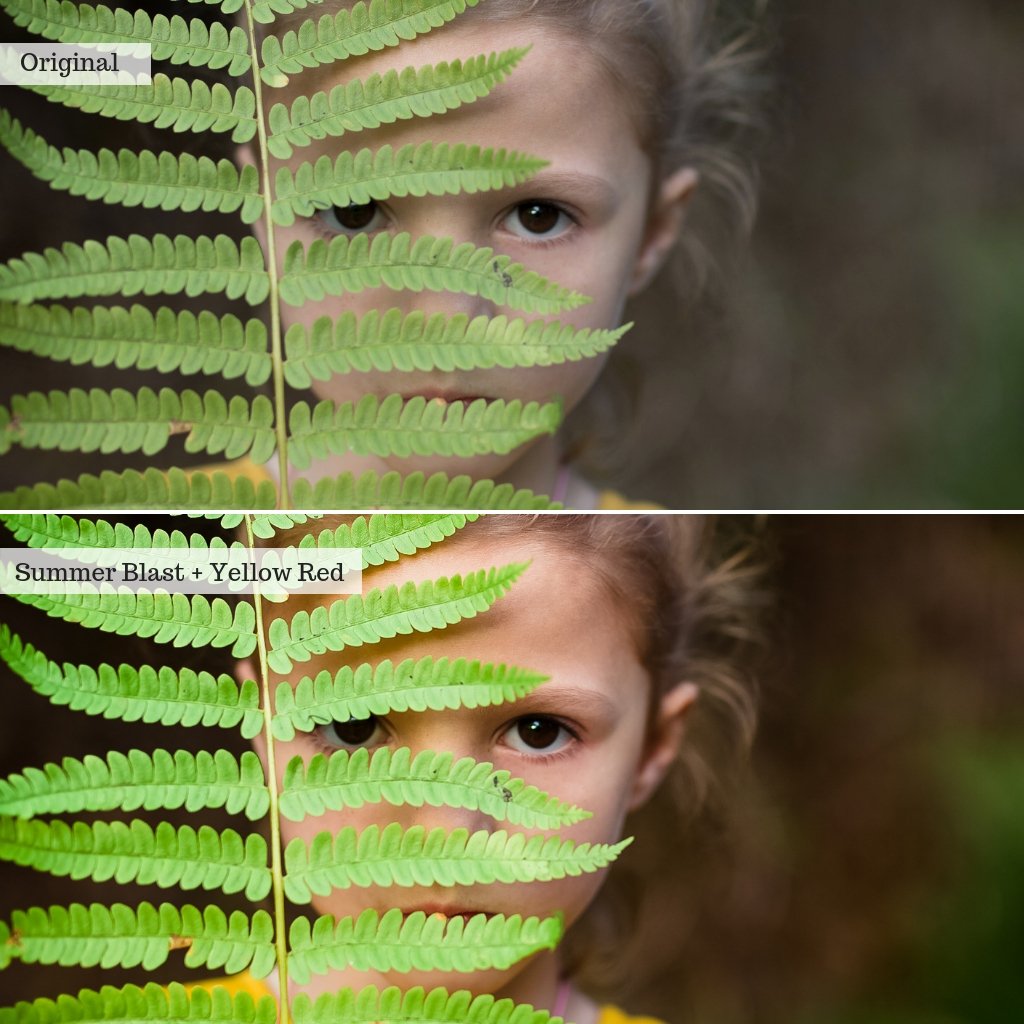 Bohemian Summer Lightroom Presets – Desktop & Mobile