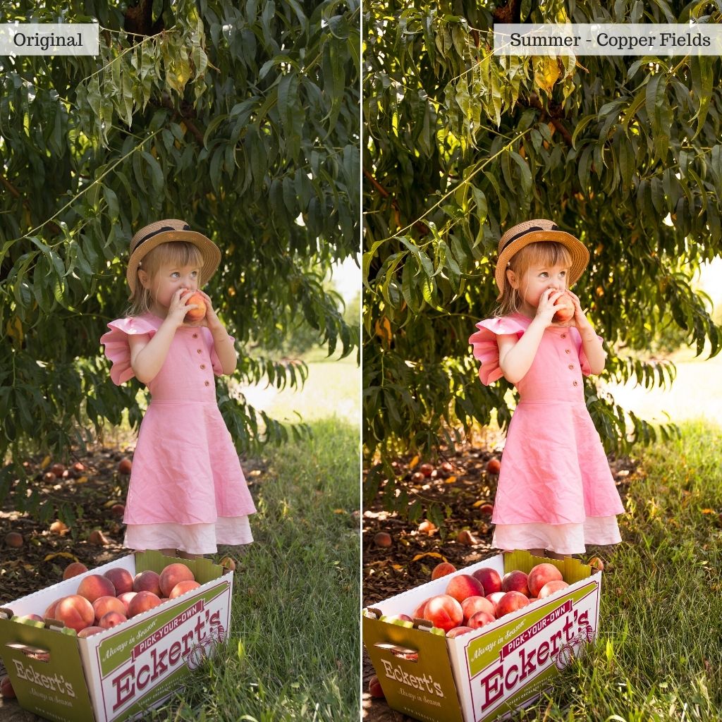 Essentials Lightroom Presets & AI Tools v2.0 – Desktop & Mobile