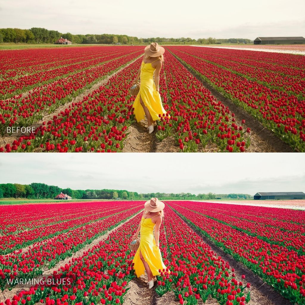 Luxe Instagram Preset Bundle (34 collections) for Lightroom Mobile & Desktop