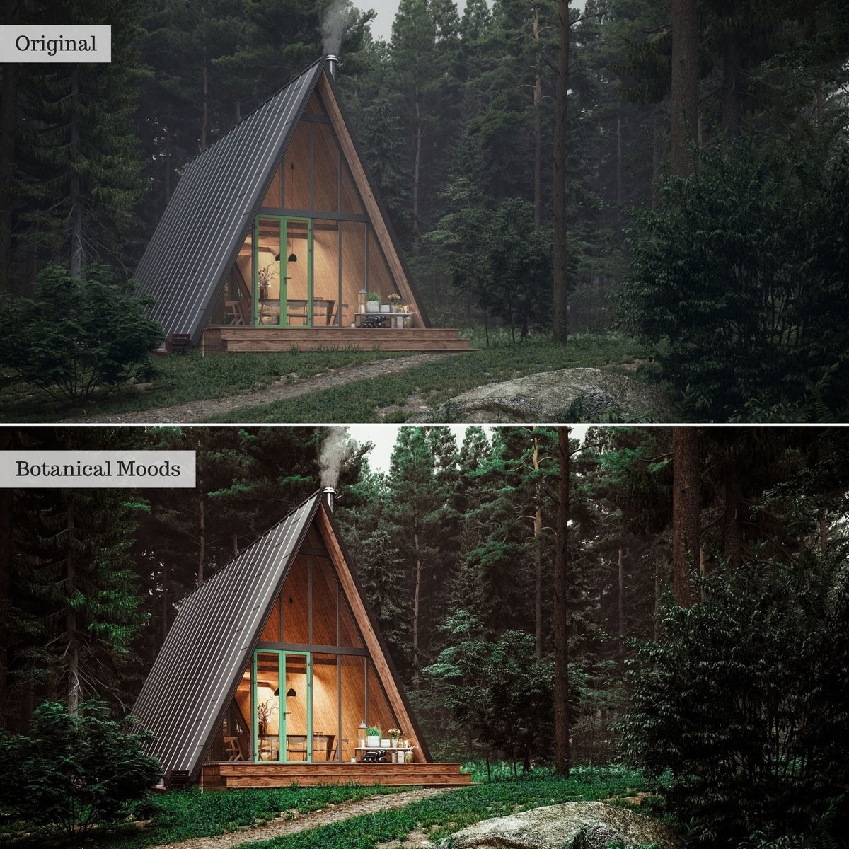 Botanical Moods Instagram Presets for Lightroom Mobile & Desktop