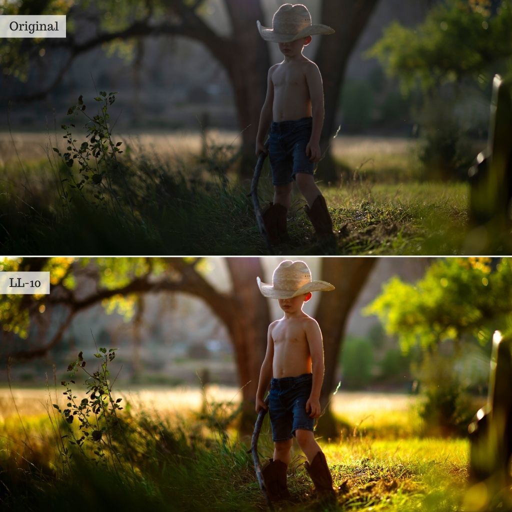 Luxe LUTs Bundle (8 Collections) – Desktop & Mobile