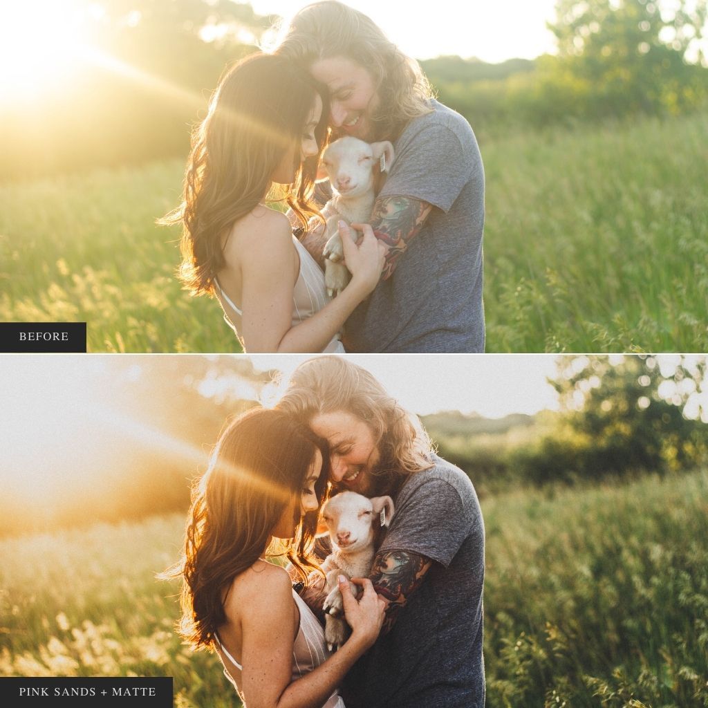 DigiFilm | Novella Lightroom Presets for Mobile & Desktop