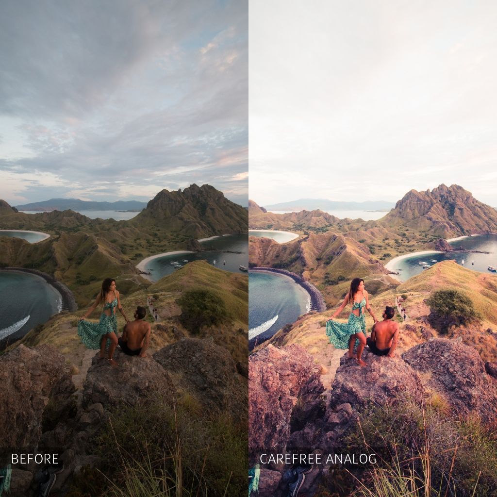 2025 Everything, Entire Store Lightroom Preset Bundle (108 Collections!)