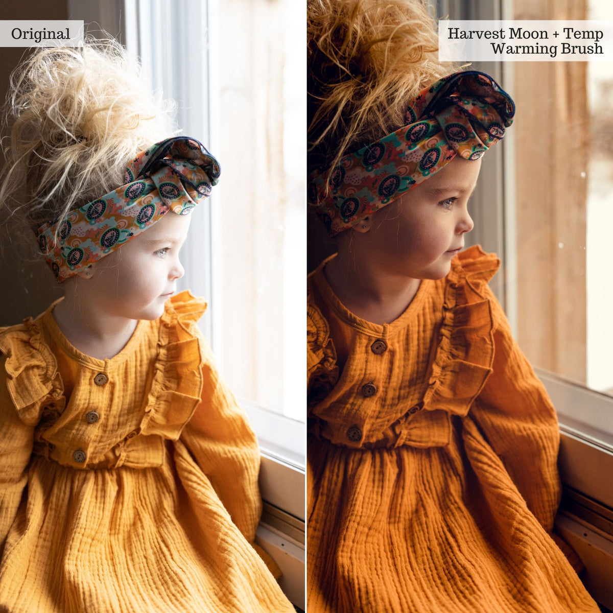 Luxe Touch of Tweed Autumn Lightroom Presets & AI Tools v2.0 – Desktop & Mobile