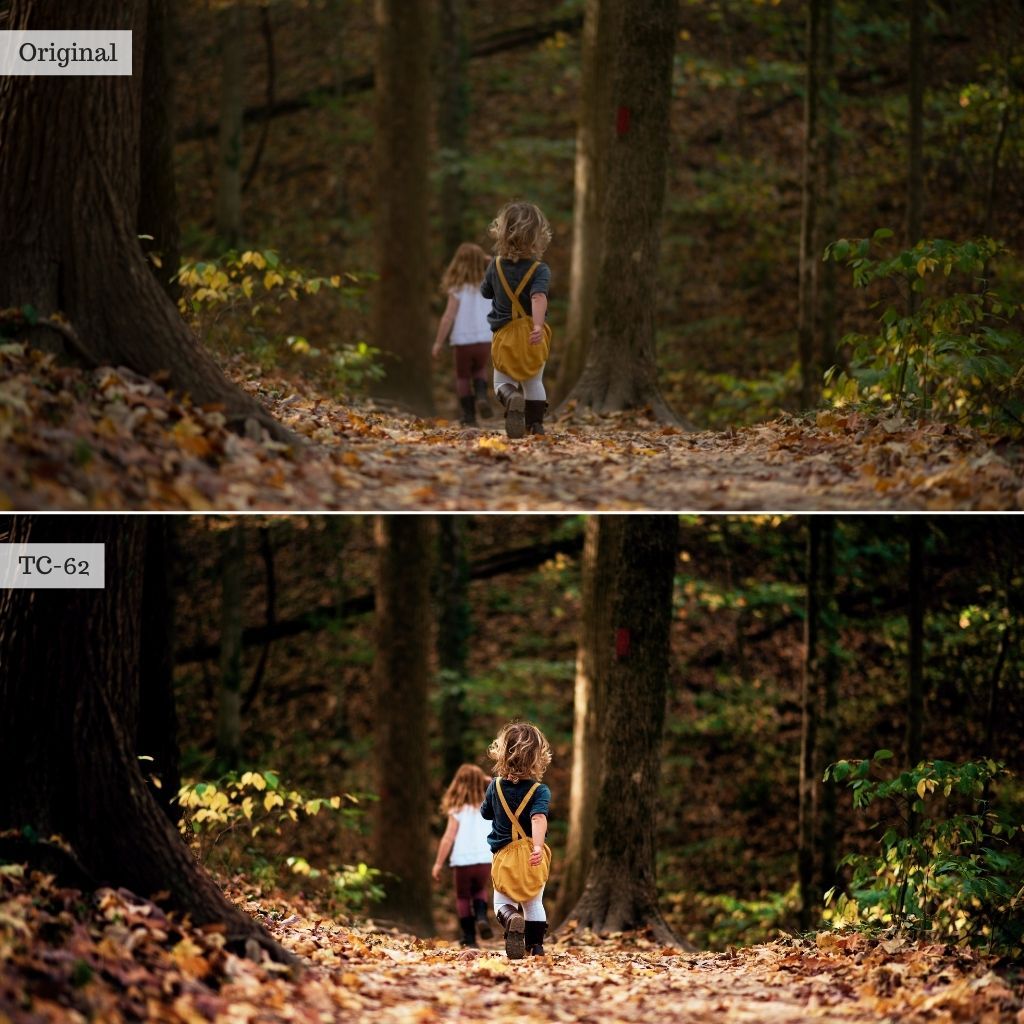 Luxe LUTs Bundle (8 Collections) – Desktop & Mobile