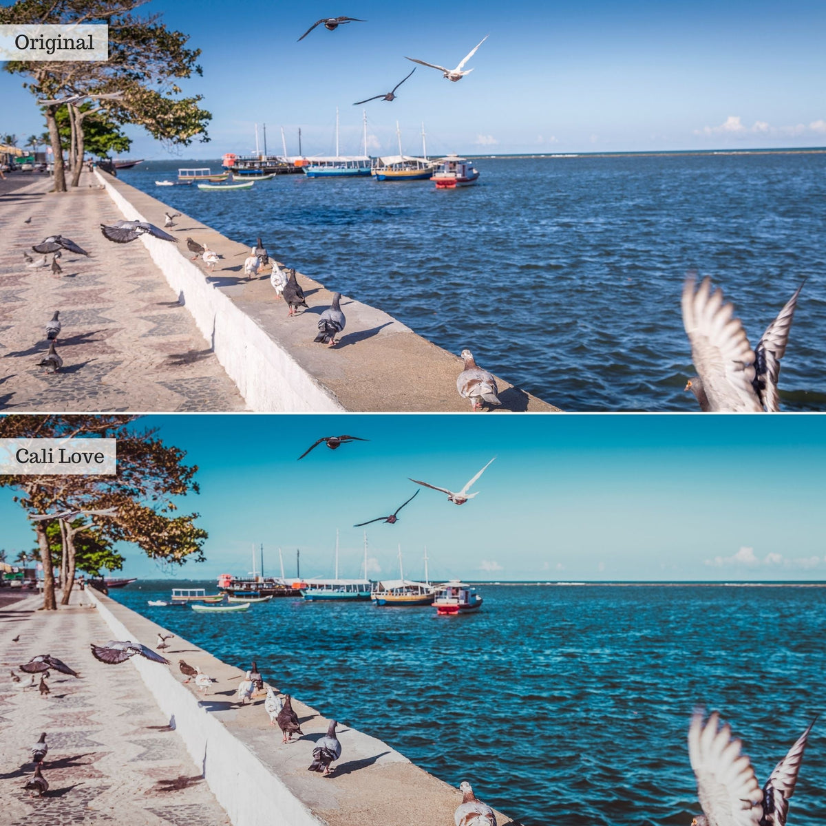 Cali Love Instagram Presets for Lightroom Mobile & Desktop