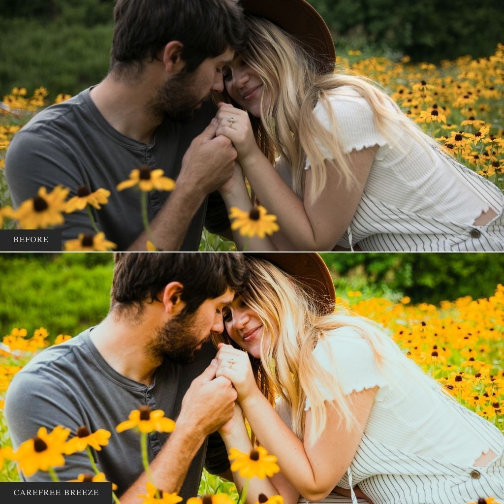 ColorMade Lightroom Preset Bundle (19 collections)