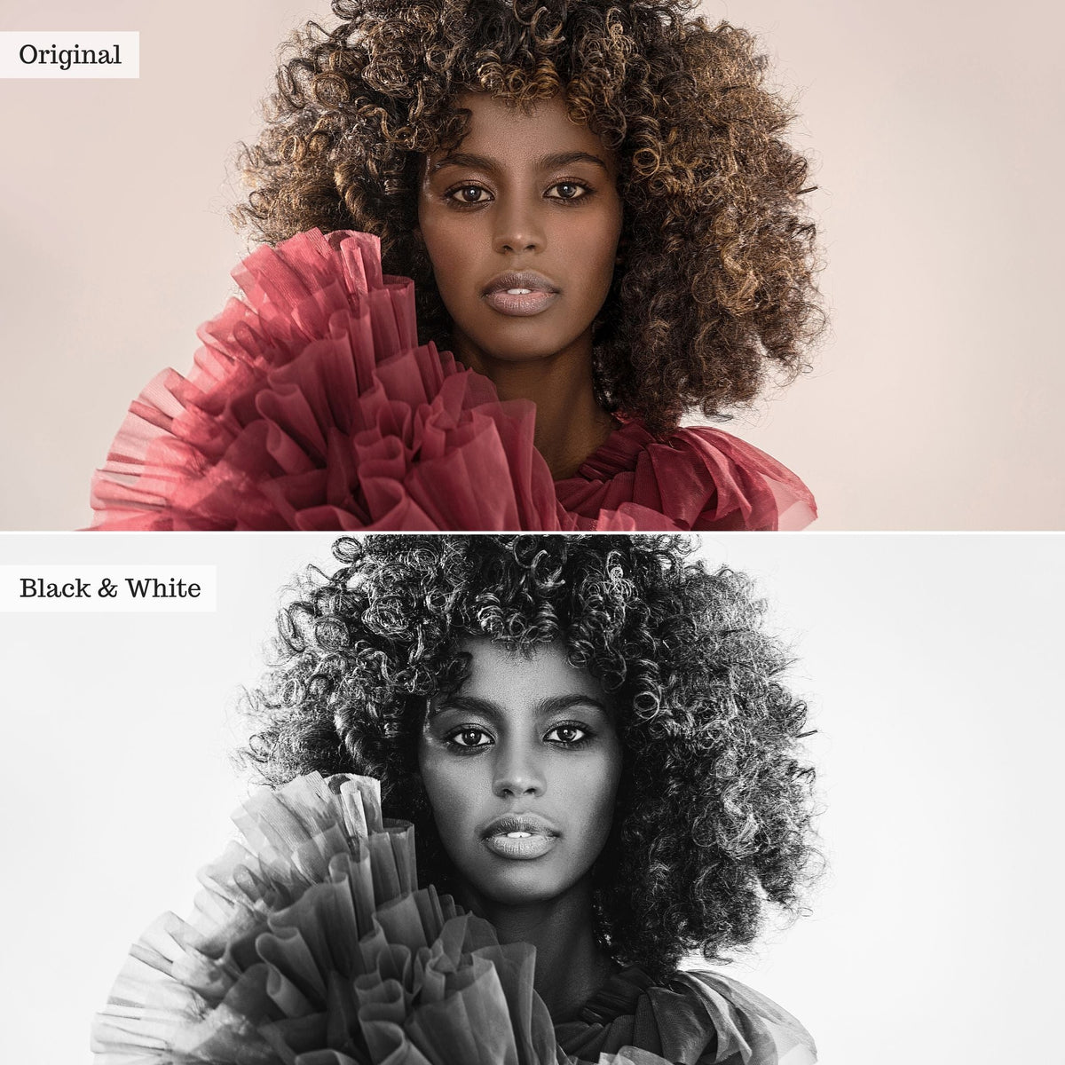 Black & White Instagram Presets for Lightroom Mobile & Desktop