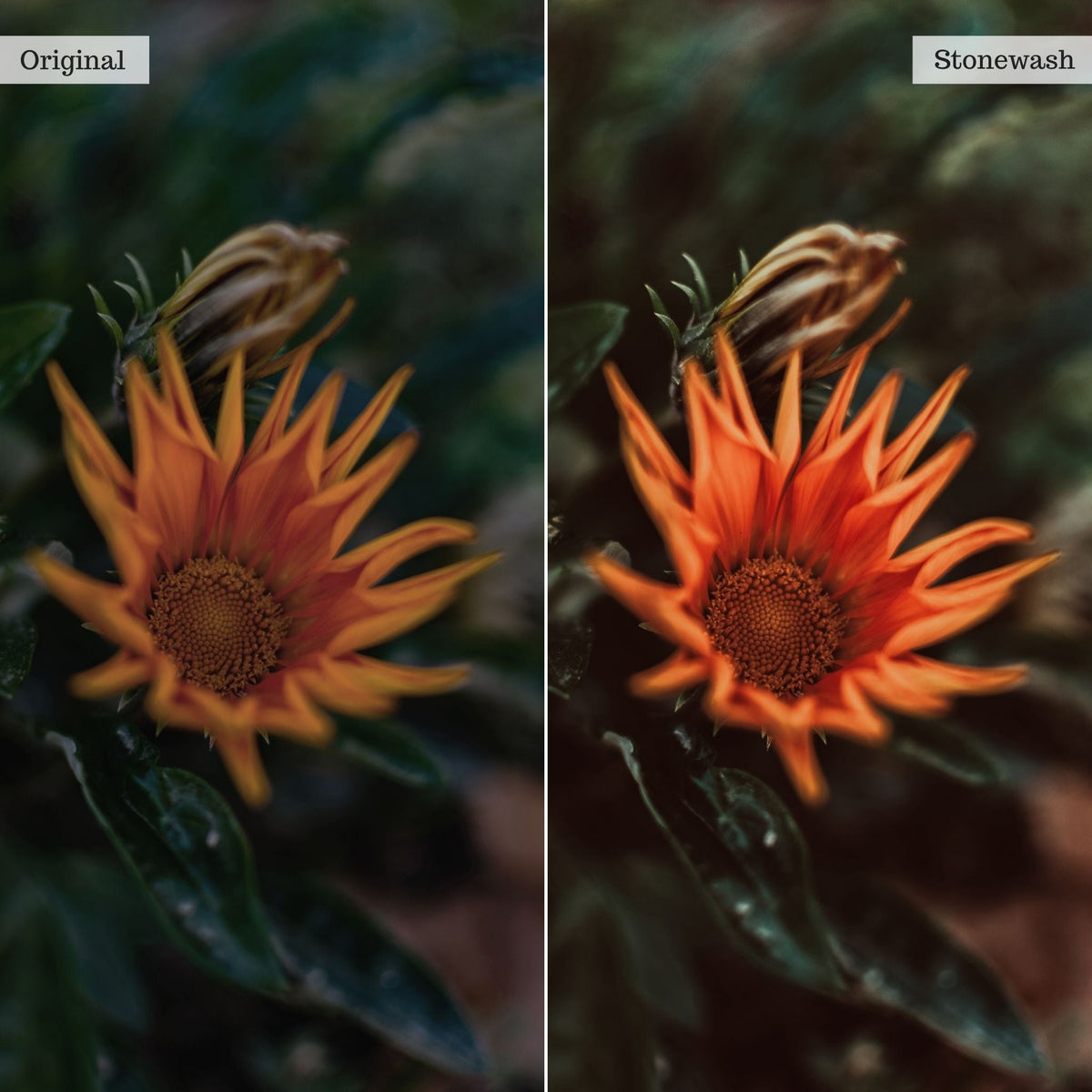 Stonewash Instagram Presets for Lightroom Mobile & Desktop