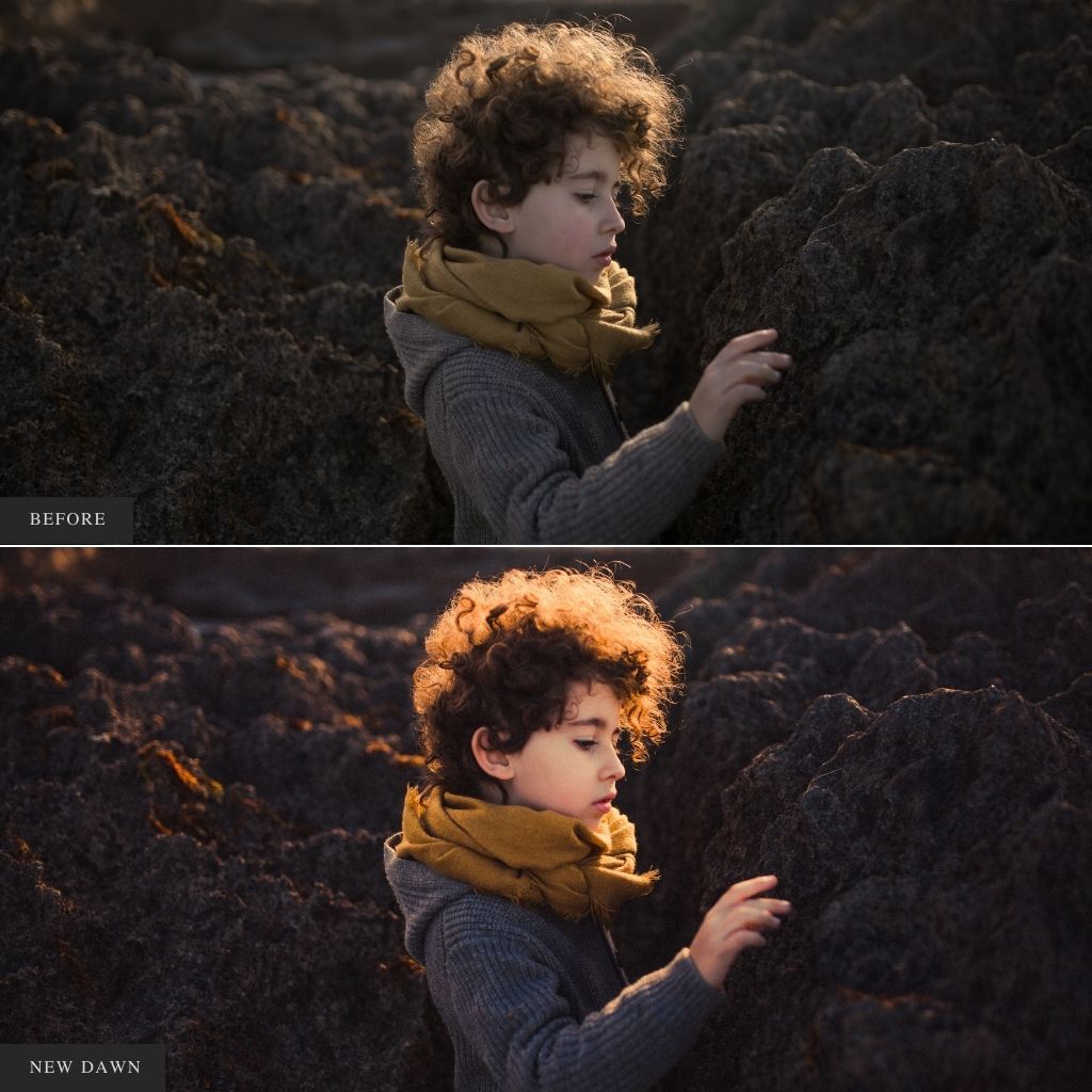 ColorMade Lightroom Preset Bundle (19 collections)