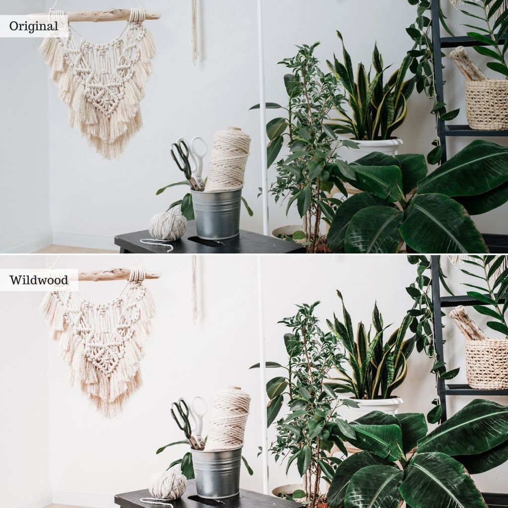 Wildwood Instagram Presets for Lightroom Mobile & Desktop